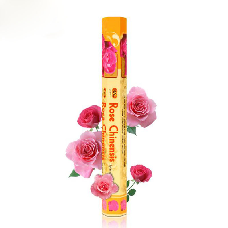 Hindistan Ithal Gül Chinensis  - Candle Supplies India incelemesi ve fiyatı